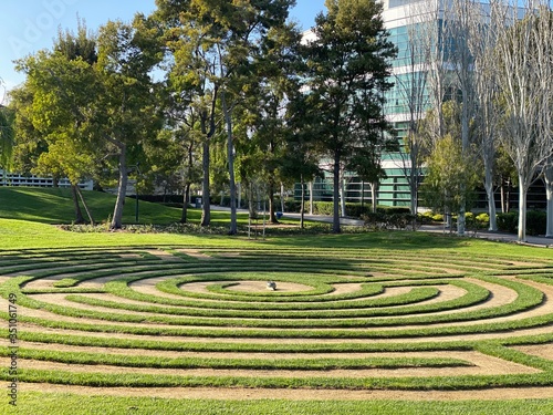 A green lawn in the center of which is a maze of grass. Sunny day  beautiful view