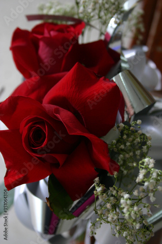 rosas rojas de la pasión
