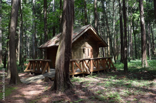 森林内のログハウス