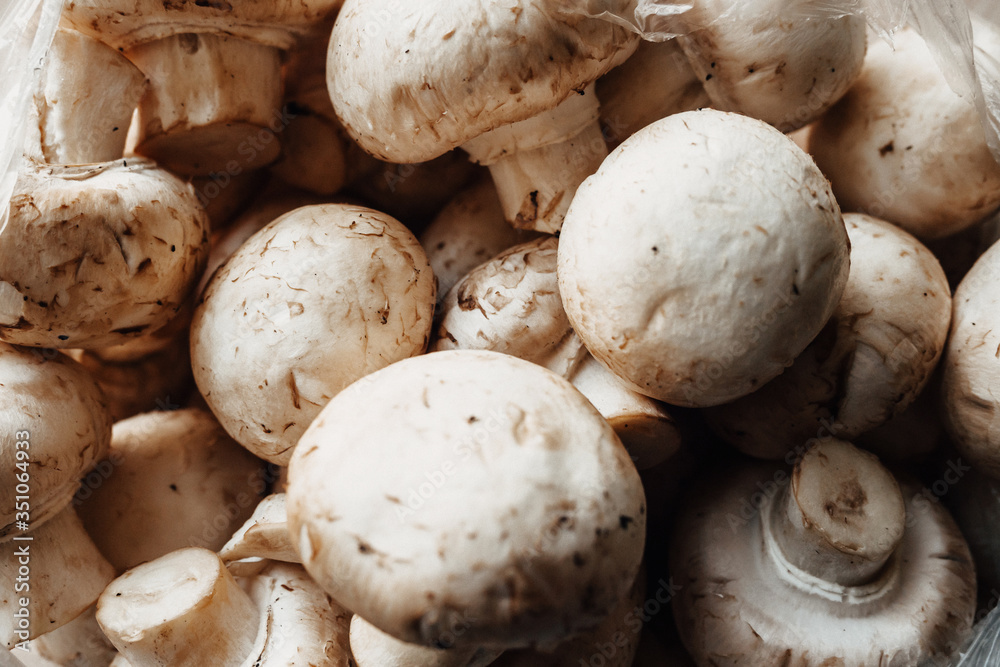 texture. many champignons. cep. top view texture. many champignons. cep. top view