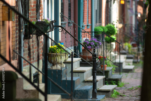 Flowers on the stoop