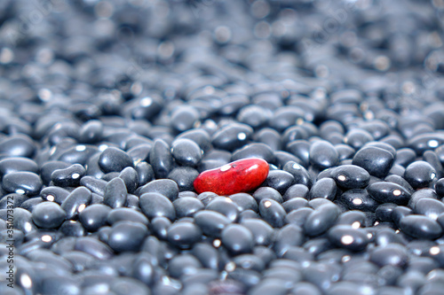 Red kidney bean among Black turtle beans background, selective focus. Unique / isolate / lonely concepts photo