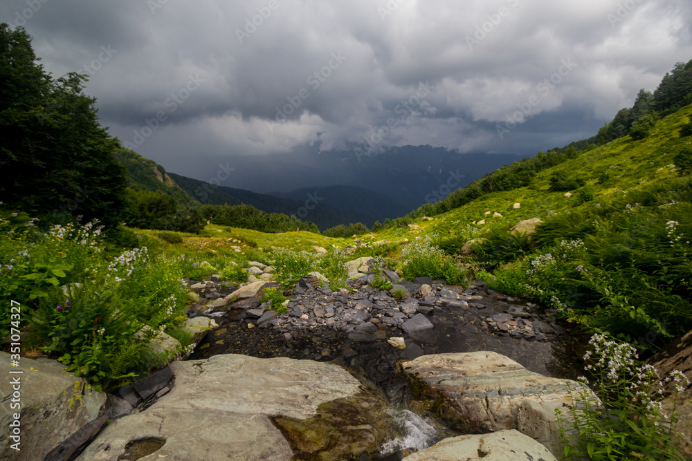 Pristine, untouched forest in the highlands, green hills.