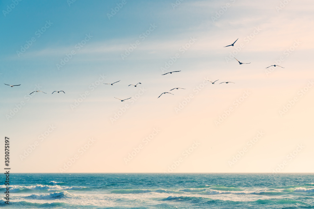 A flock of birds flying over the Pacific Ocean. Blue and turquoise colored sea waves, beautiful cloudy sky on background