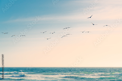 A flock of birds flying over the Pacific Ocean. Blue and turquoise colored sea waves, beautiful cloudy sky on background