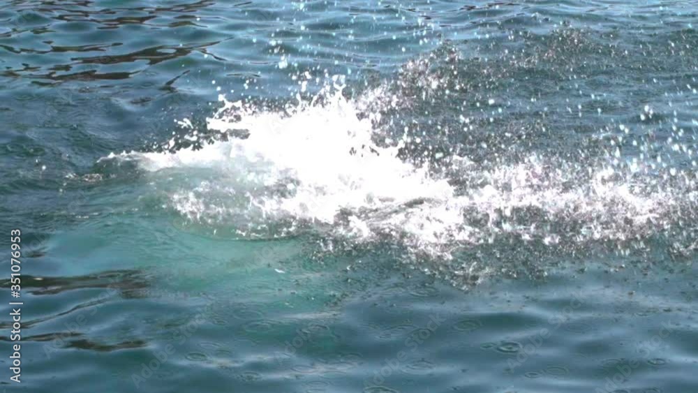 Slow Motion shot of young woman diving into sea on sunny day, female in swimwear enjoying summer at beach - Amalfi Coast, Italy Slow Motion shot of young woman diving into sea on sunny day, female in swimwear enjoying summer at beach - Amalfi Coast, Italy