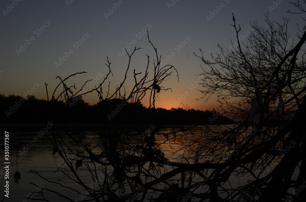 Fototapeta premium Paisaje flora y rio dulce santiago del estero