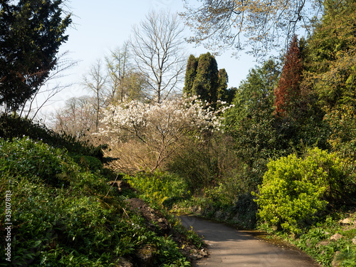 Bath Botanical Garden
