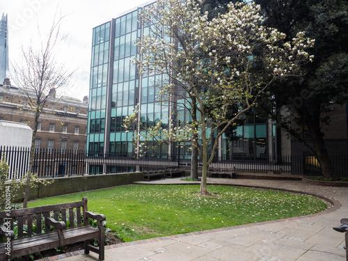 Spring blossoms at St Dunstan in the East Church, London, England, UK