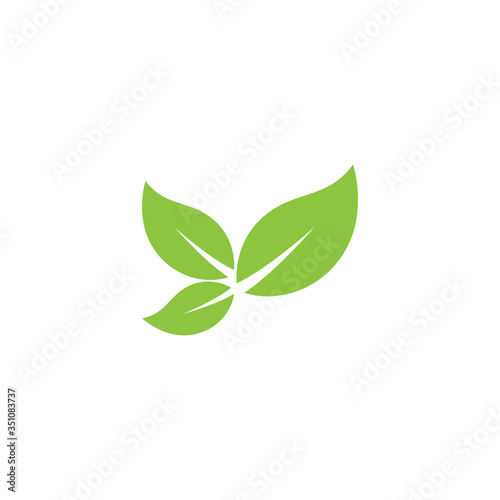 Leaf Logo Template vector symbol © evandri237@gmail