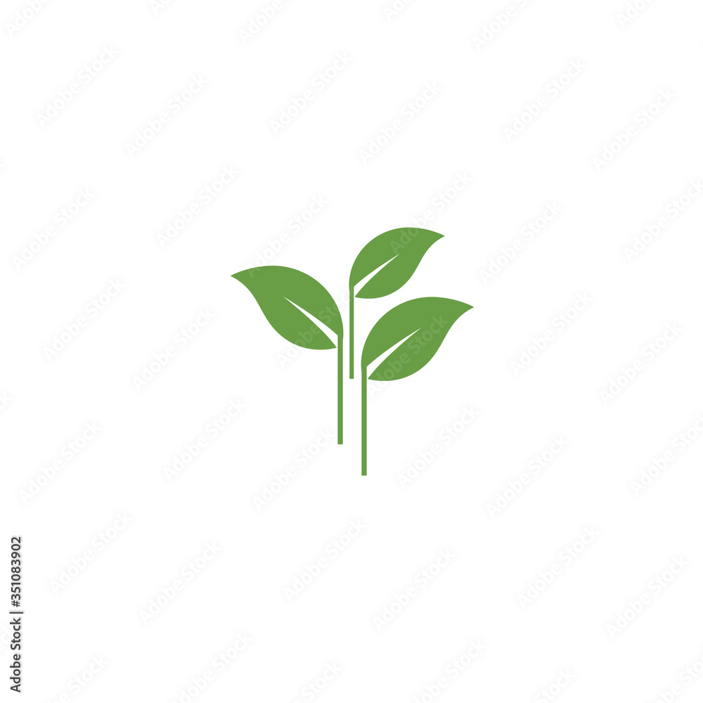 Leaf Logo Template vector symbol Leaf Logo Template vector symbol