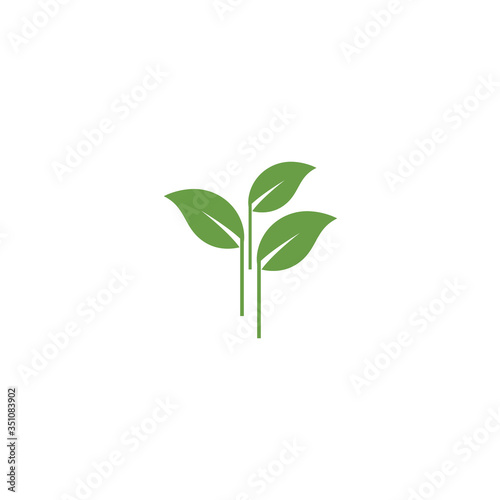 Leaf Logo Template vector symbol © evandri237@gmail