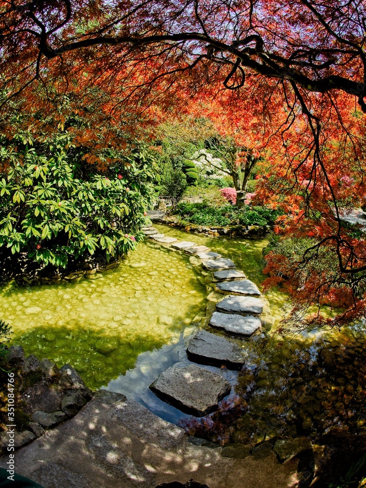 Stepping stones across the pond under the canopy of trees Stepping stones across the pond under the canopy of trees