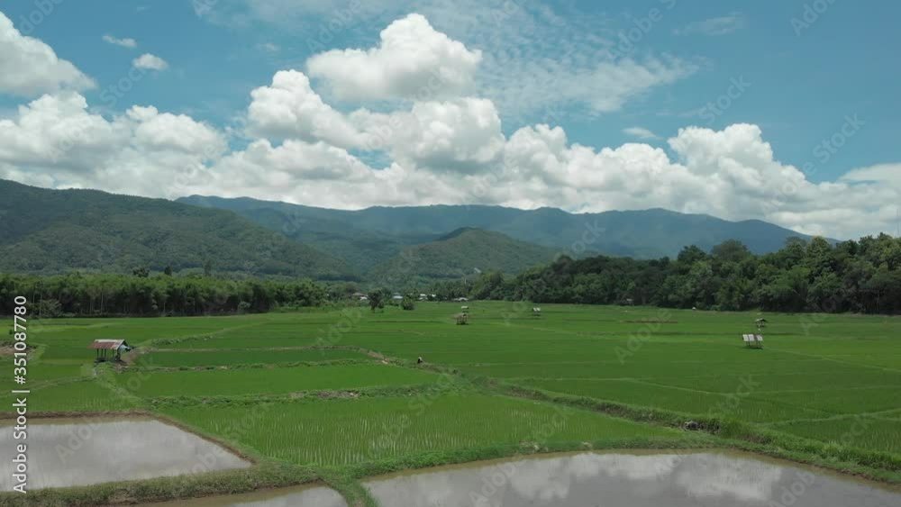 flying over green rice fields showing mountains and blue skies with clouds flying over green rice fields showing mountains and blue skies with clouds