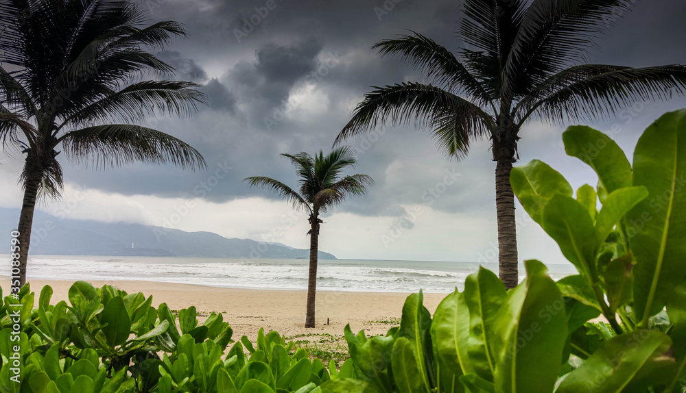 Scenic landscape with vivid pink and violet blooming flowers and palms at beach near ocean with stormy clouds in background. Scenic landscape with vivid pink and violet blooming flowers and palms at beach near ocean with stormy clouds in background.