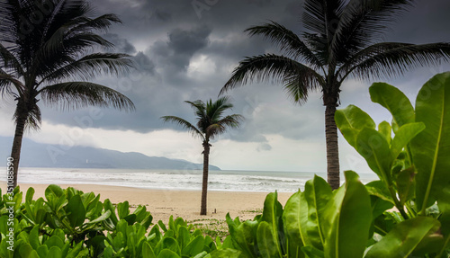 Scenic landscape with vivid pink and violet blooming flowers and palms at beach near ocean with stormy clouds in background.
