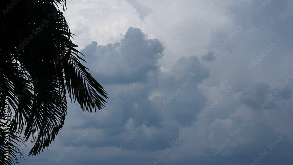 cloudy sky before rain in summer time, whit palms leaves.