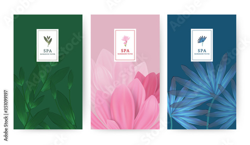 Set of minimal banner for branding packaging. Tropical summer plant and leaf with shadow background. For spa resort luxury hotel, yoga, beauty, cosmetic, organic texture. Ginkgo leaf drawing line