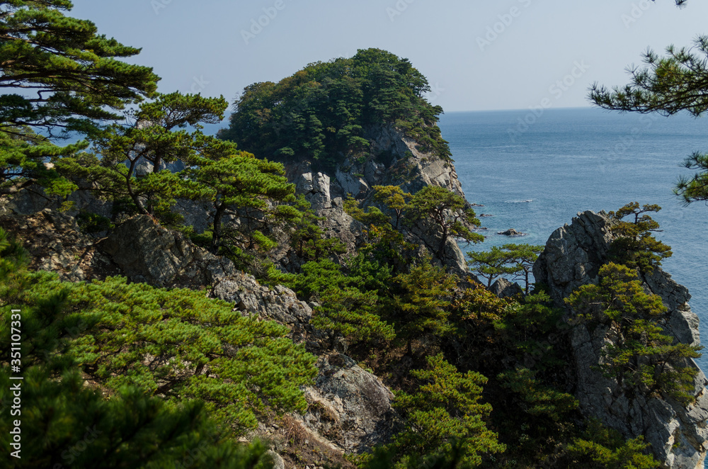 View from the pine forest at sea