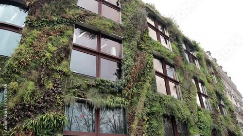 Patrick Blanc, Le Mur Vegetal Garden, Quai Branly museum, Living Wall, Jean Nouvel, Paris, France, Green Living Architecture photo