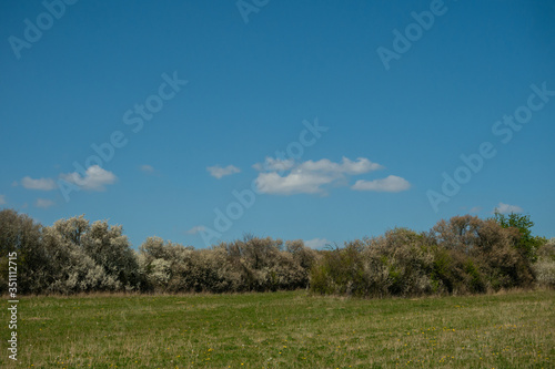 Landschaft im Frühling