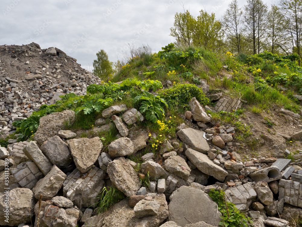 A ruined house is overgrown with grass.