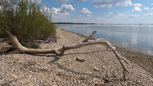Dried pale coloured driftwood tree trunk on stony river bank of Vah river, location Kralova river dam, Slovakia, during spring season. Nice cloudy skies with reflection of clouds on water surface. photo
