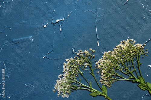 blue textured background with dry flowers
