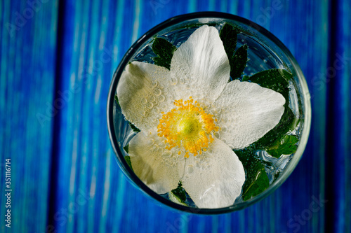 A flower with five white petals and yellow stamens immersed in water.