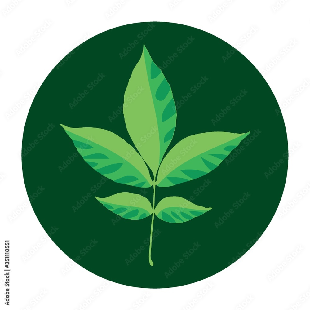 leaves leaves