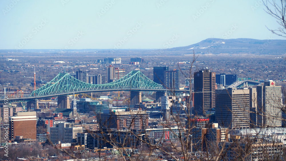 Fototapeta premium A green Jacques Cartier Bridge contrasted against the Montreal skyline on a cold winter day. The skyline is filled with high rise skyscrapers.