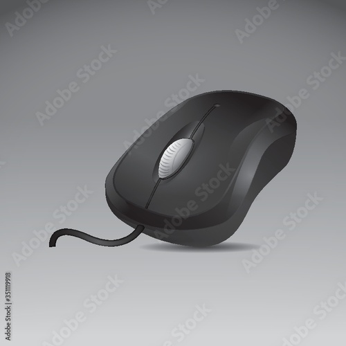 computer mouse