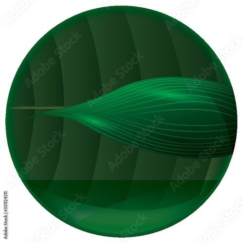 leaf