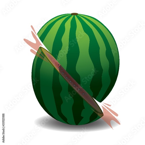 sliced watermelon