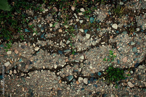 Old worn and cracked asphalt with cracks. Cracked asphalt background. Green grass