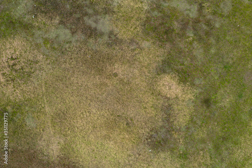 wild field, view from above