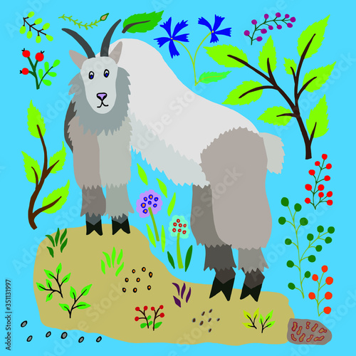  Flat vector illustration of a snow goat. Oreamnos americanus. An ungulate animal stands on a rock among wild herbs and berries. Animal in the wild. Isolated design for a children's book, poster, card