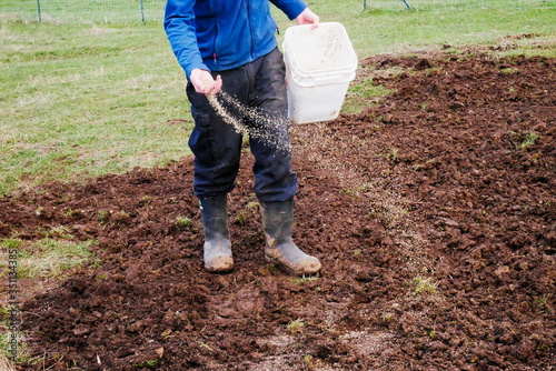 Man spreading grass seed on soil in garden