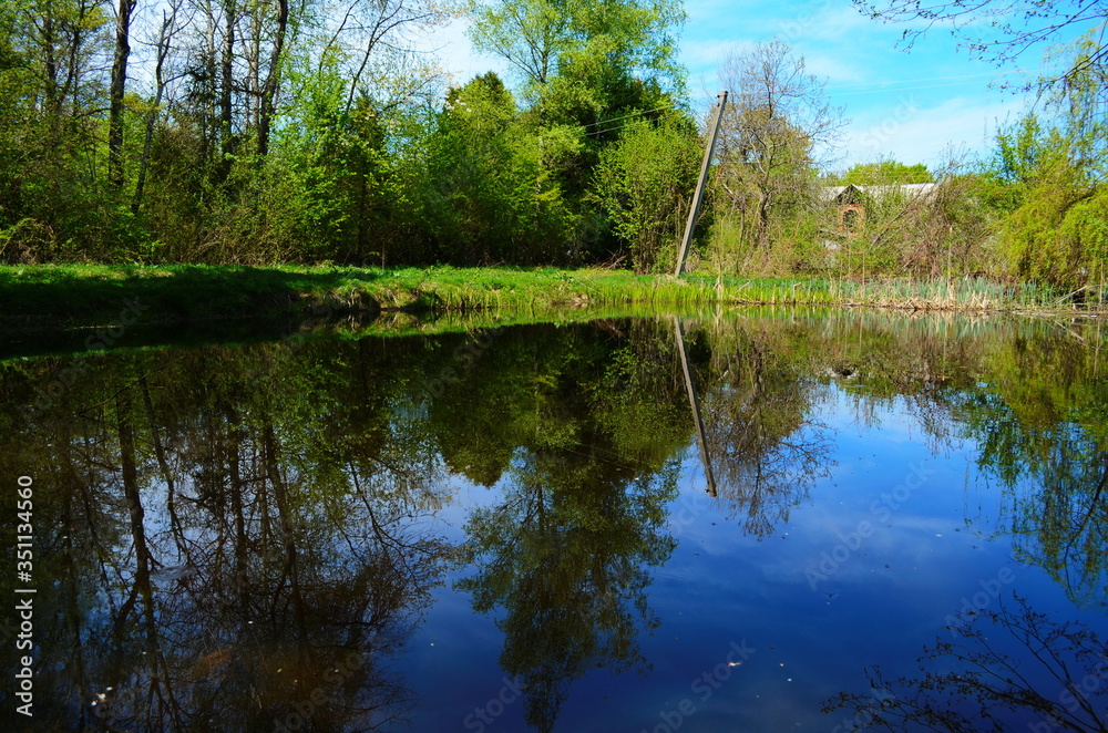 Fototapeta premium Blue water in a forest lake with pine trees
