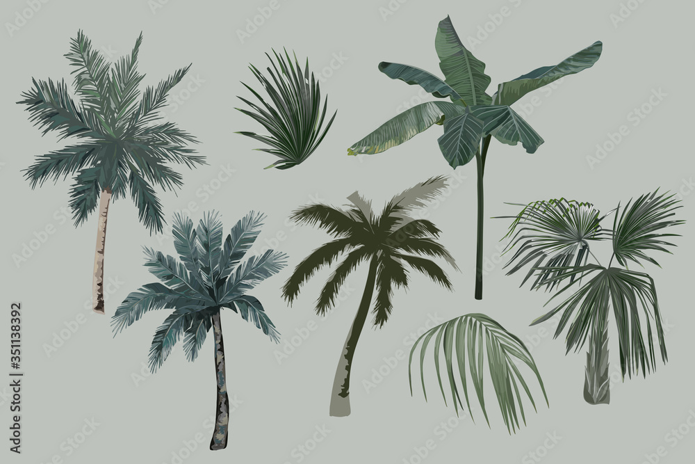 Tropical vintage palm trees set. Vector Illustration. Isolated image