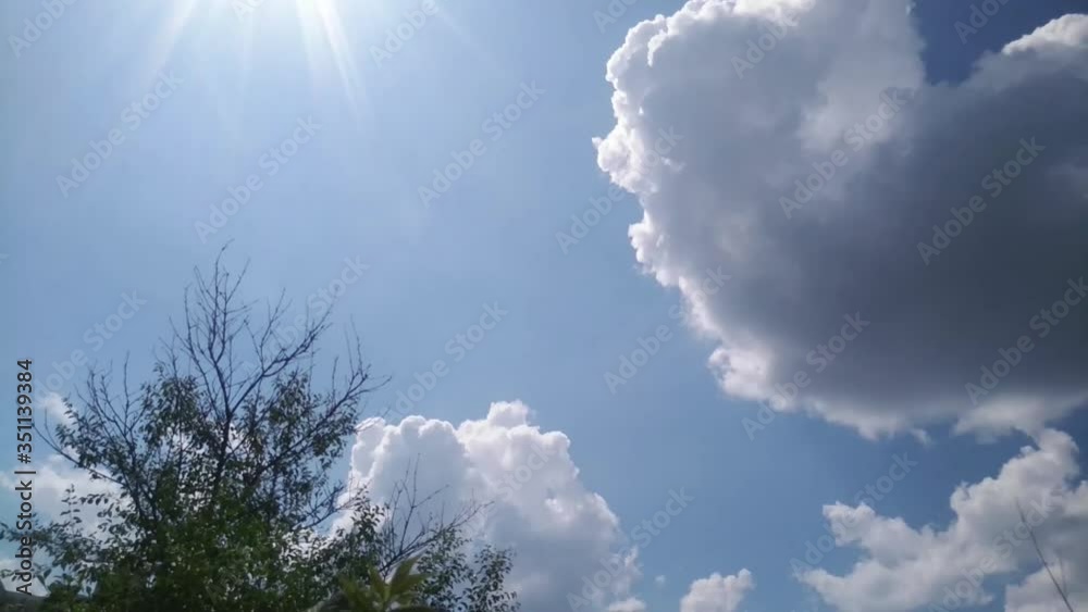 timelapse, bush in the foreground, white clouds fly across the sky timelapse, bush in the foreground, white clouds fly across the sky