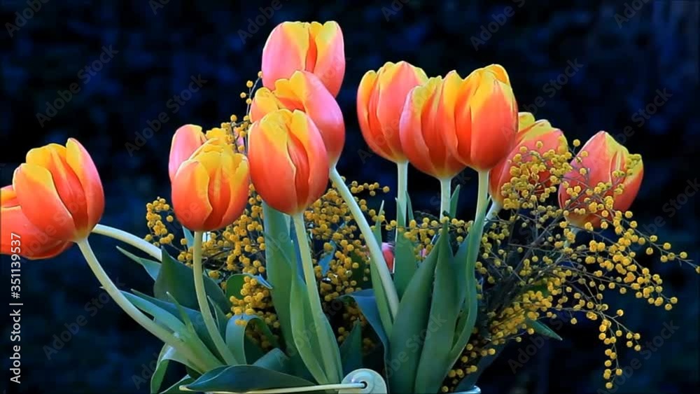 Tulips bouquet with yellow mimosa rotate
