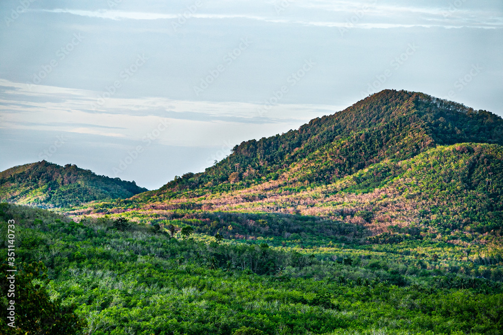 mountain landscape in the summer