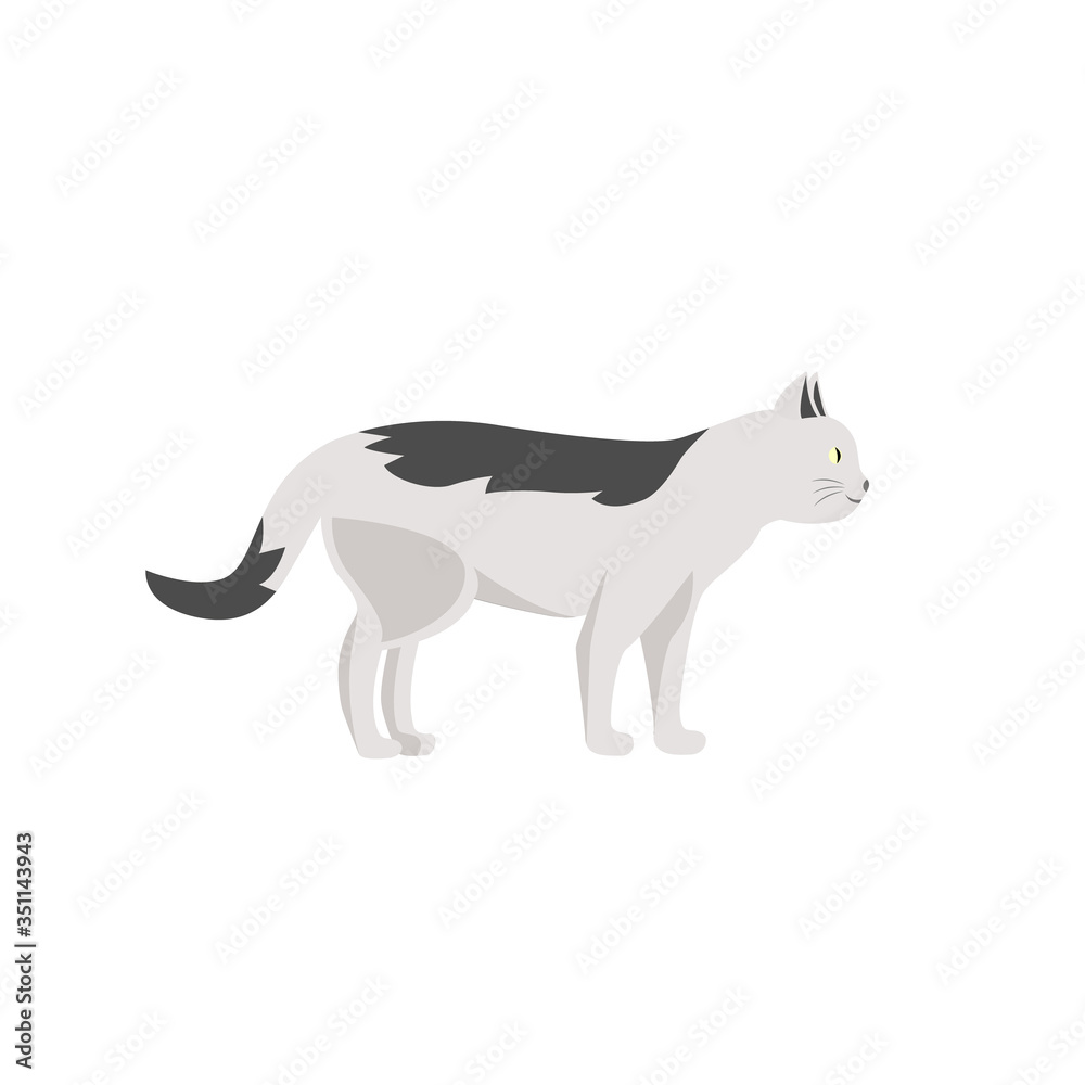 White striped cat flat color vector character. Domestic animal walk. Pet care and daycare. Grooming salon mascot. Kitten isolated cartoon illustration for web graphic design and animation