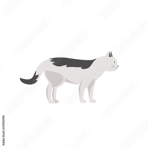 White striped cat flat color vector character. Domestic animal walk. Pet care and daycare. Grooming salon mascot. Kitten isolated cartoon illustration for web graphic design and animation