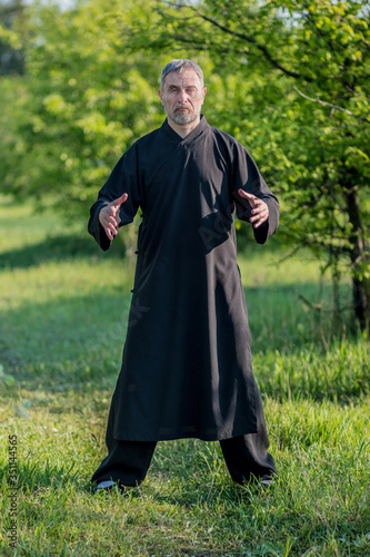 European master of tai Chi practicing qigong in the Park