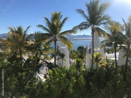 palm trees on the beach in spain