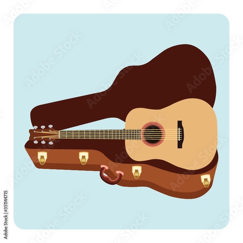 guitar with a guitar case