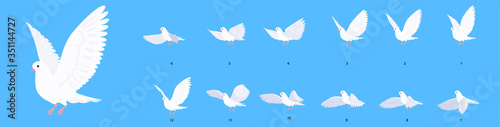 A beautiful white dove. Full cycle animation of a flying pigeon. Set of illustrations in cartoon style.