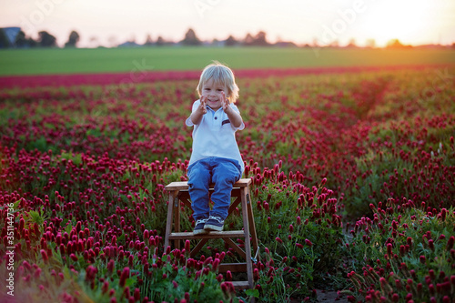 Beautiful children, brothers in gorgeous crimson clover field on sunset,